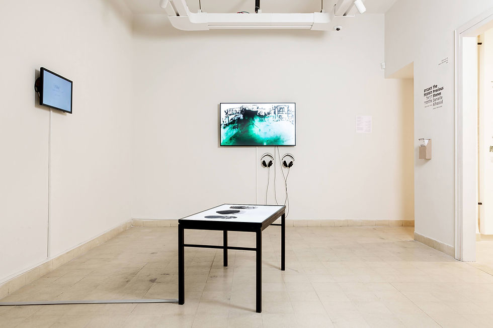 The Precious Stones Exhibition